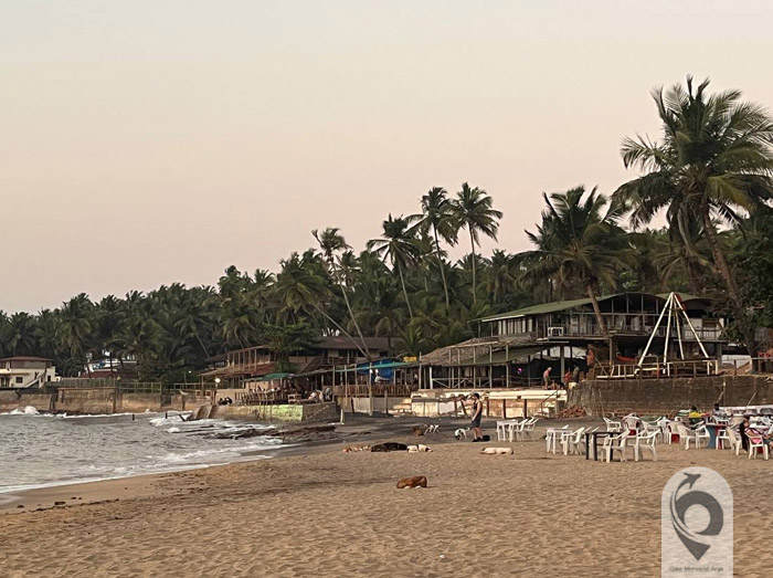 تور گوا | نرخ تور لحظه آخری و ارزان + اقساط 15 تور گوا