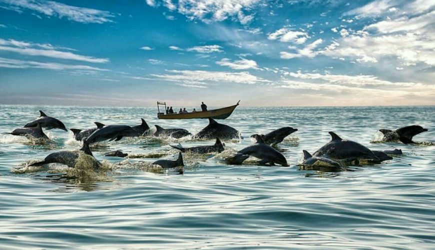 جزیره هنگام