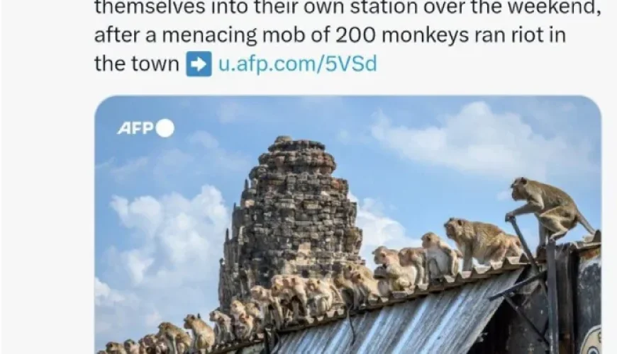 حبس شدن نیروهای پلیس تایلند توسط میمونهای شورشی