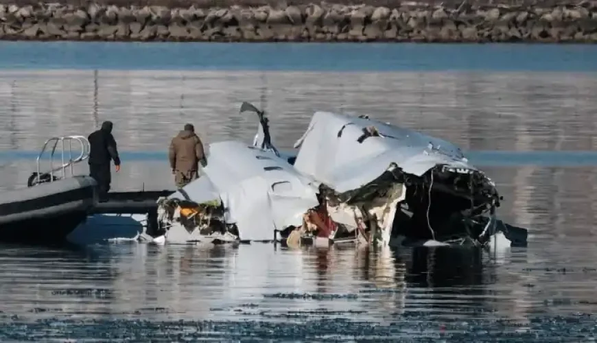 عامل سقوط هواپیما در آمریکا مشخص شد