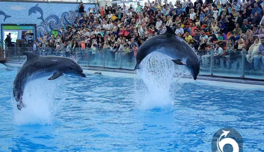 جاهای دیدنی جزیره کیش