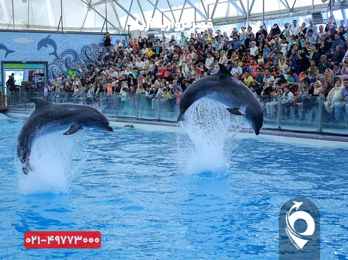 جاهای دیدنی جزیره کیش