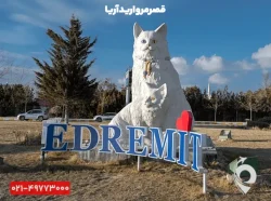 خانه گربه‌های وان