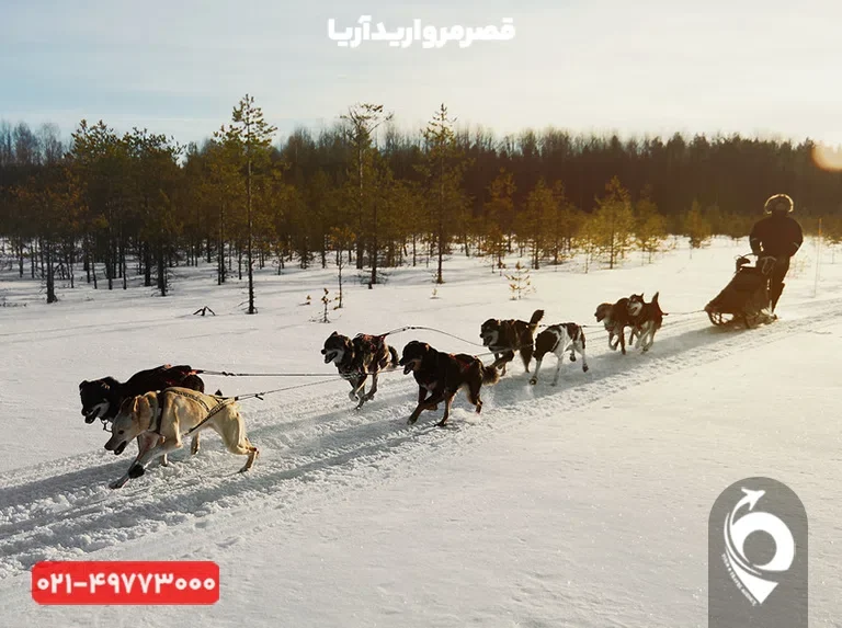 سورتمه‌سواری با سگ‌های هاسکی