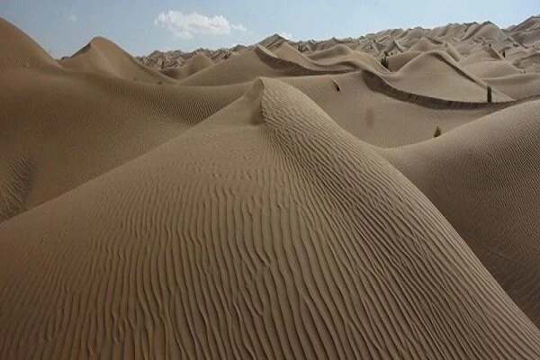 برگزاری همایش بیابان لوت
